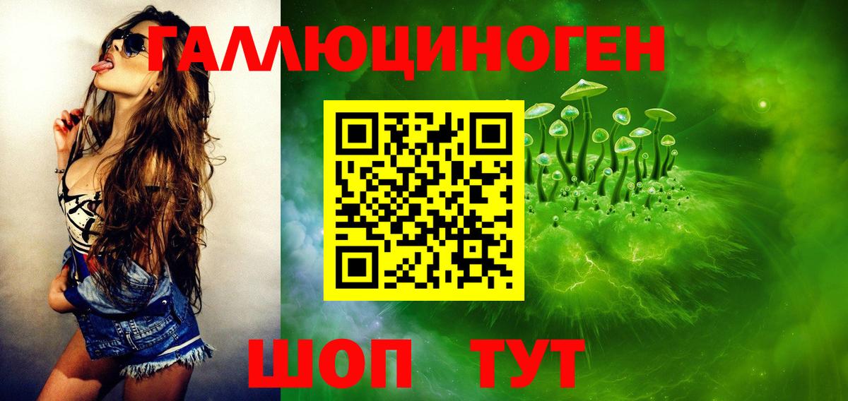 Галлюциногенные грибы GOLDEN TEACHER  Вход с VPN  Минусинск  Галлюциногенные грибы Psilocybine cubensis 